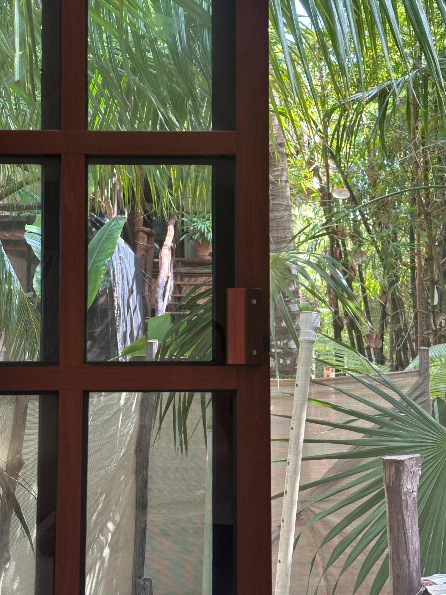 Sirenas Caribbean Rooms Holbox Exterior photo